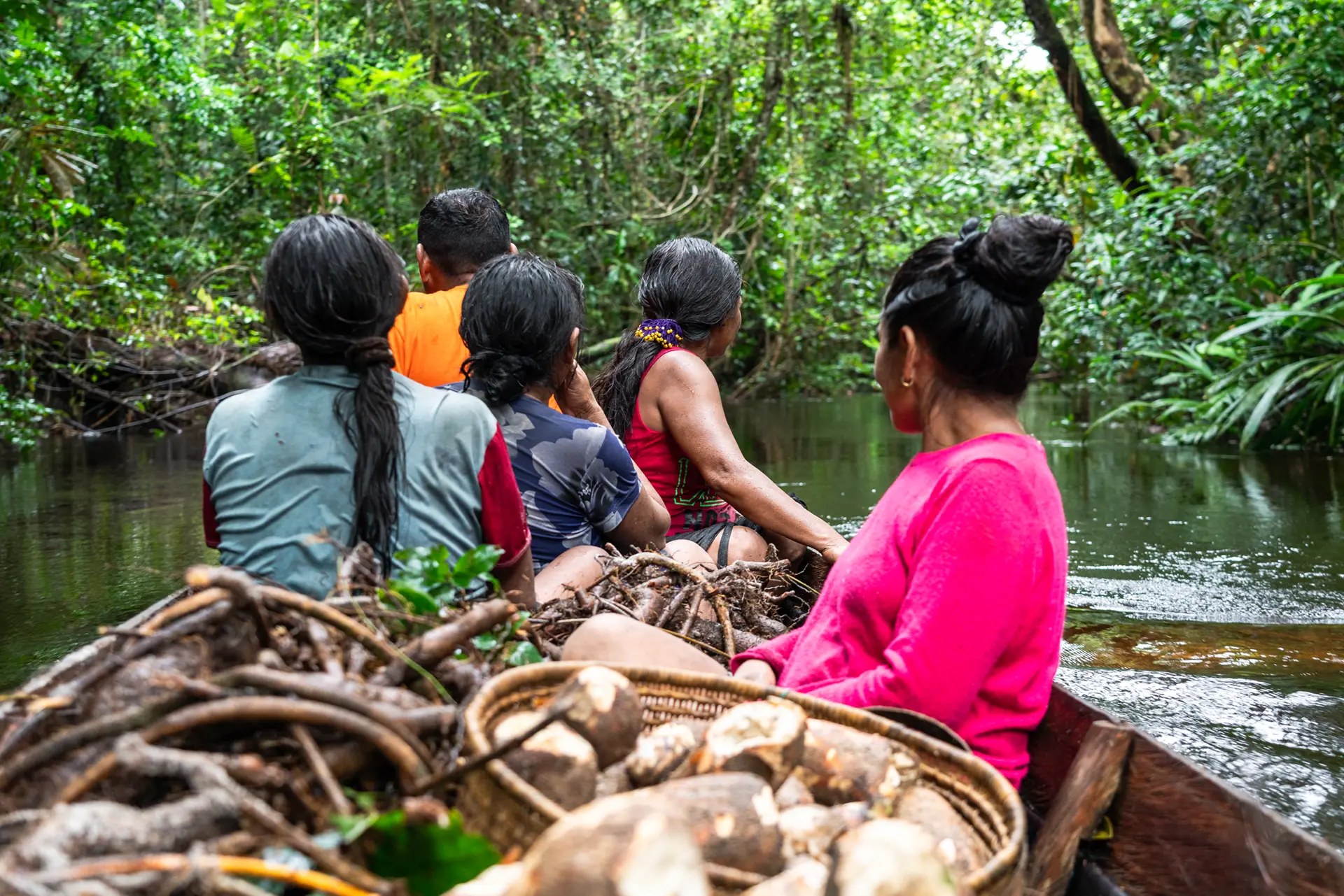 ONU Medio Ambiente Reconoce 5 nuevos Territorios de vida
